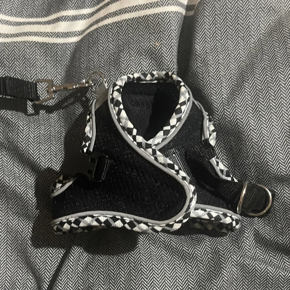 Chic Black and White Cat Harness and Leash Set